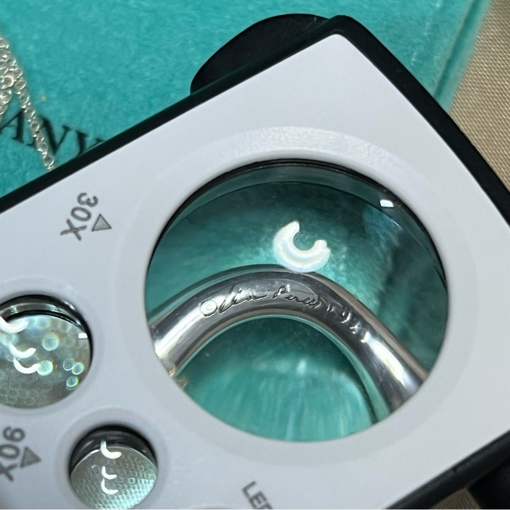 Tiffany & Co Elsa Peretti Snake Pendant Necklace Sterling Silver w/ Box & Pouch - Picture 5 of 16